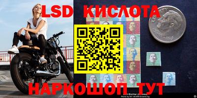 мдпв Владимир