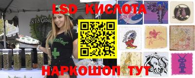 мдпв Владимир