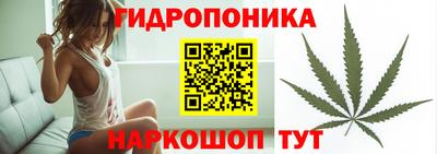 2c-b Берёзовский