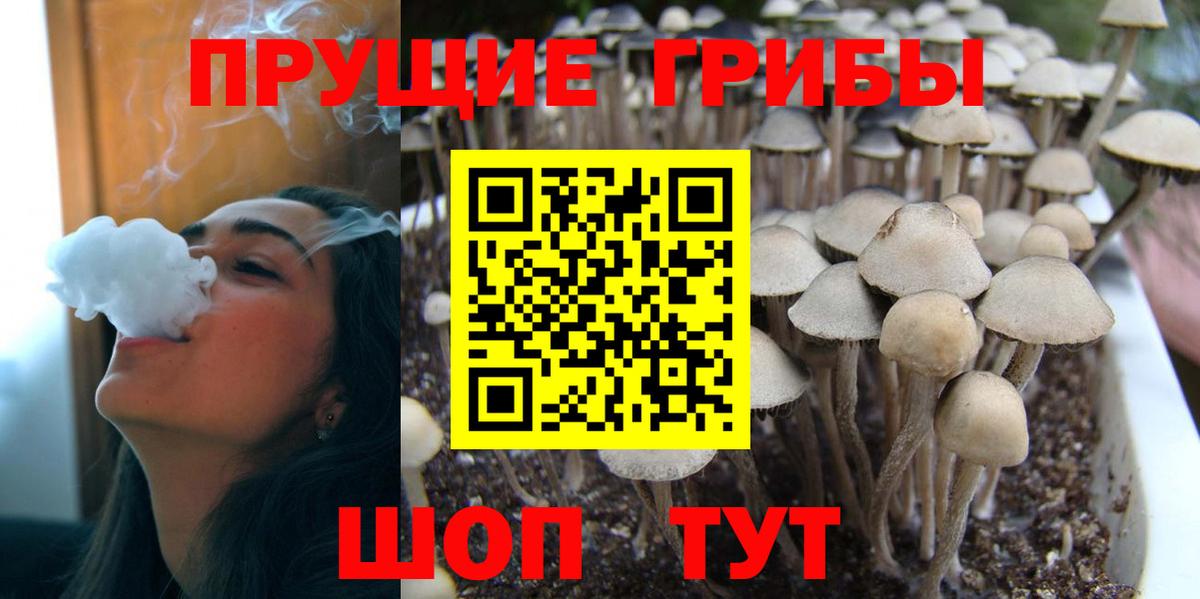 Галлюциногенные грибы Psilocybine cubensis  Вход с VPN  Галлюциногенные грибы мухоморы  где купить наркотик  Донецк 
